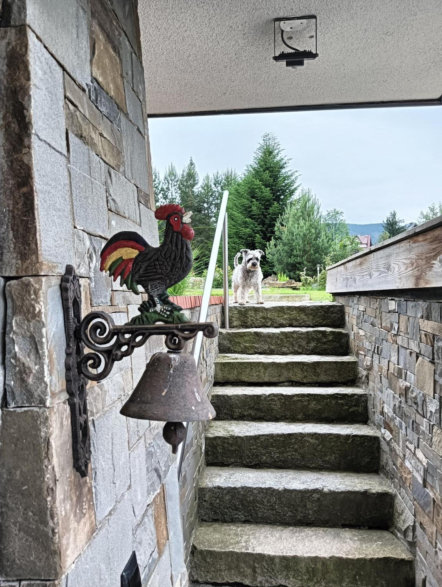 Apartament Nad Stawem Zakopane Exterior foto